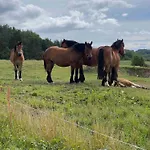 Ferienhaus Gdzies Na Kaszubach - Z Balia Otoczony Piekna Natura *