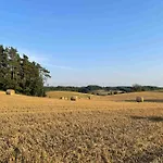 Gdzies Na Kaszubach - Z Balia Otoczony Piekna Natura Ferienhaus