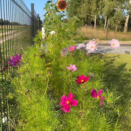 Gdzies Na Kaszubach - Z Balia Otoczony Piekna Natura Pierszczewo