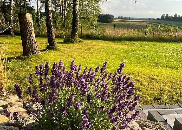 Gdzies Na Kaszubach - Domek Z Balia Otoczony Piekna Natura *
